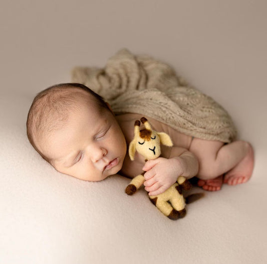 フェルト生地ぬいぐるみ(どうぶつ④)