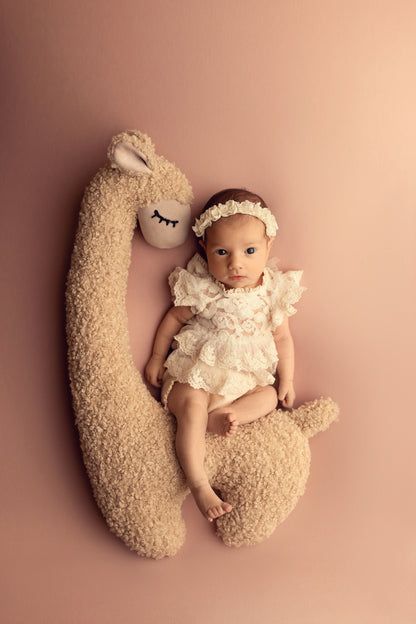 ポージング用まくら(ひつじ＆クジラ)