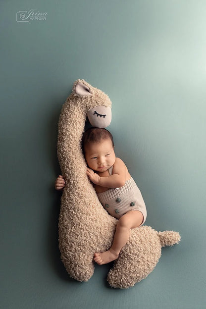 ポージング用まくら(ひつじ＆クジラ)