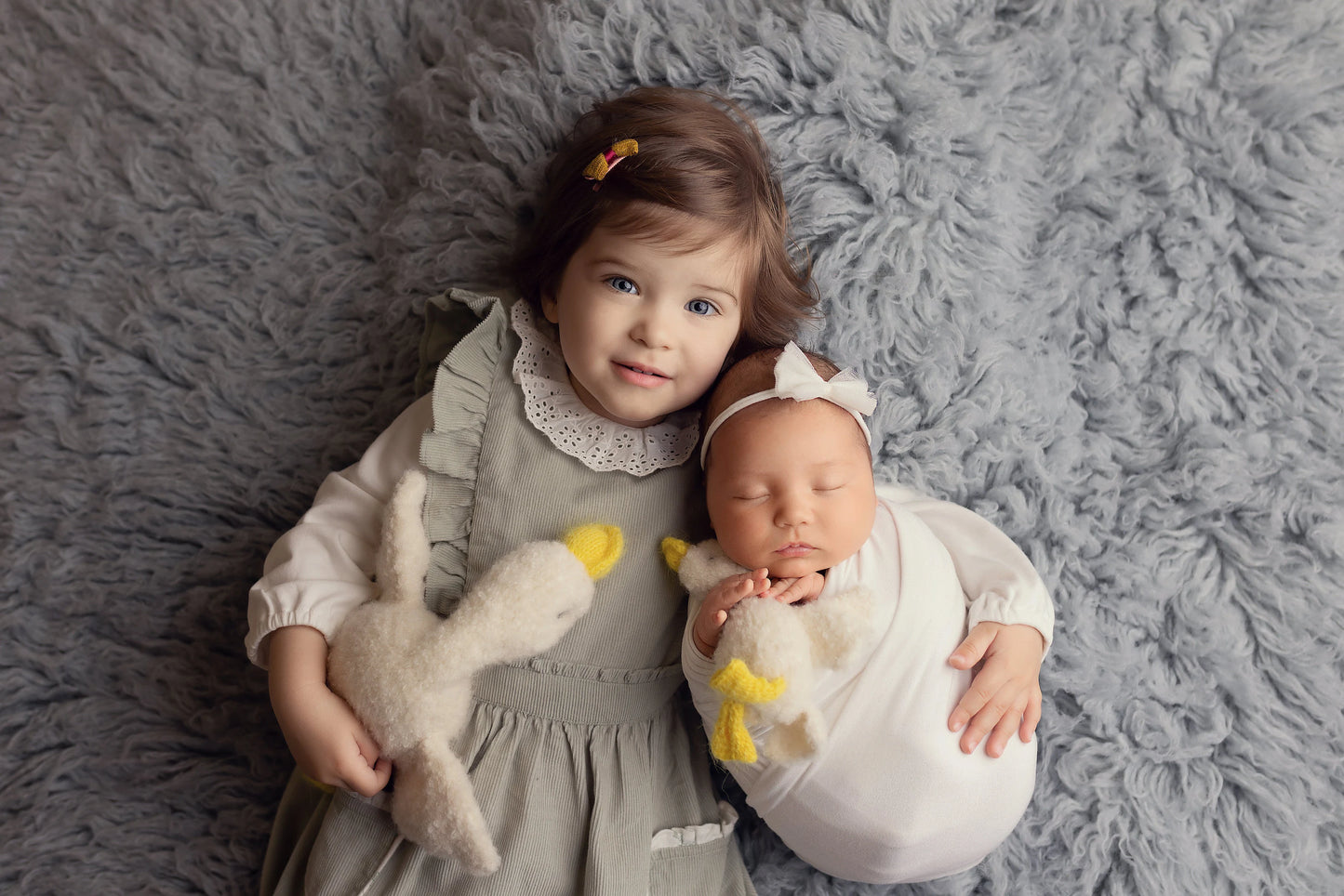 ガチョウのぬいぐるみ