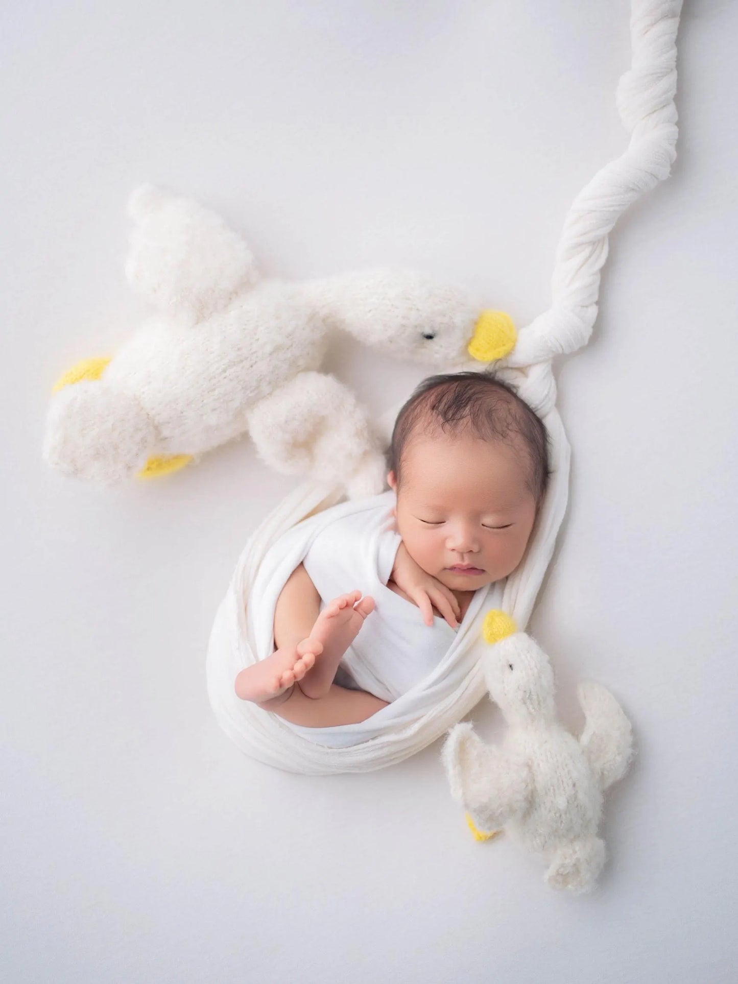 ガチョウのぬいぐるみ