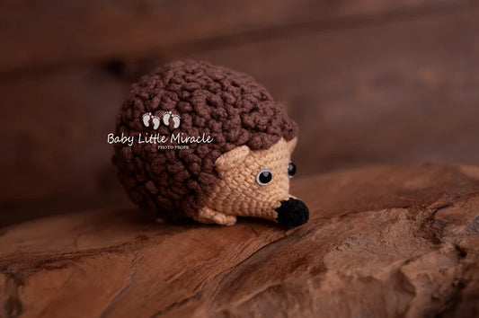 小さなハリネズミ